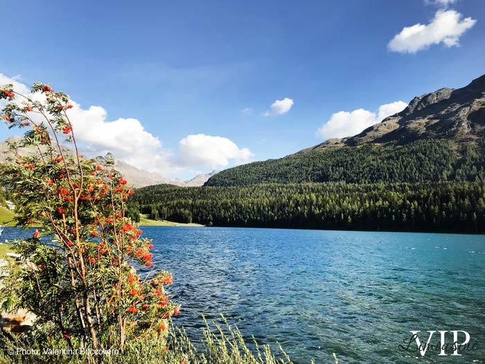 milan-st-moritz-lake-02