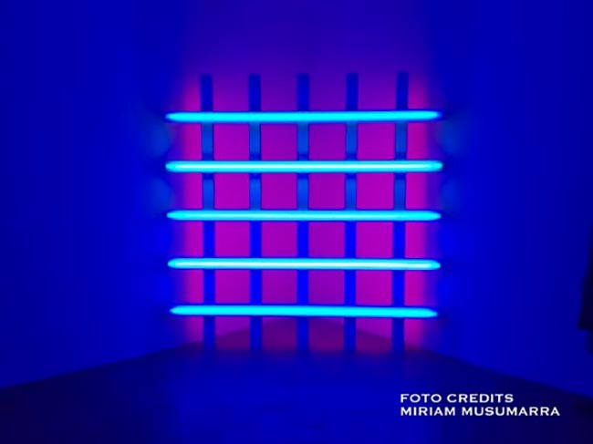 car-with-driver-hire-milan-villa-panza-03