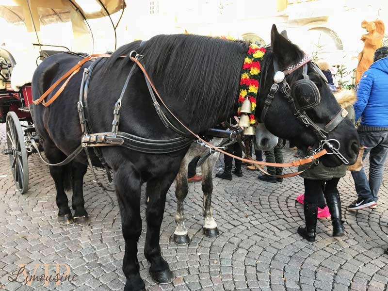 tour-of-bolzano-christmas-markets-by-luxury-car-with-driver-01