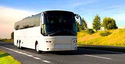 Luxury coaches with driver