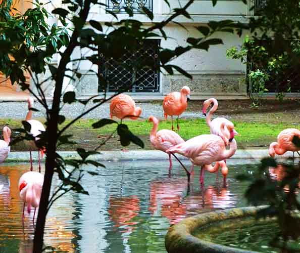 Villa Invernizzi - Milan In search of the secret places in Milan: Villa Invernizzi