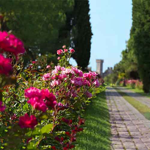 8 things to do and to see at Lago di Garda: The Parks of Lago di Garda