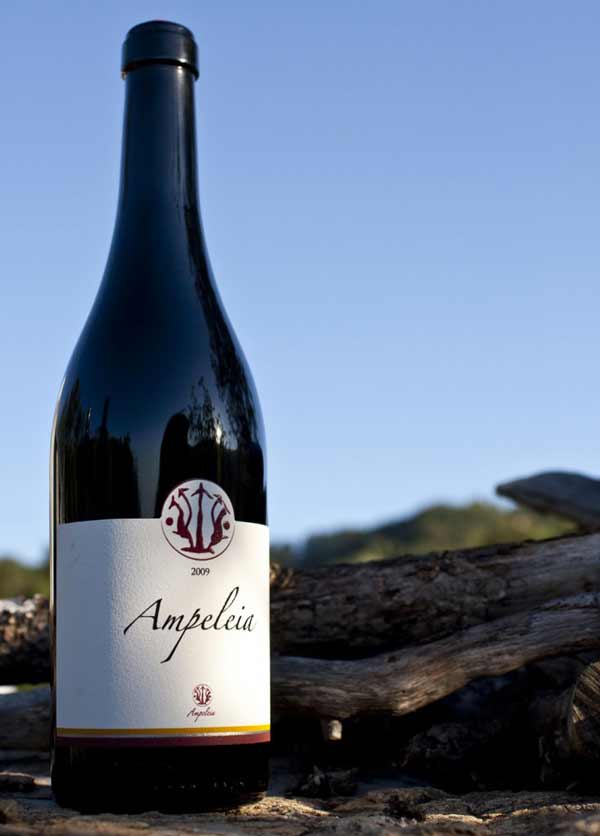 Azienda agricola Ampeleia Roccatederighi - Wine