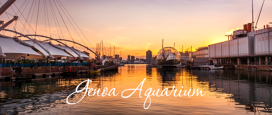 Car Rental with Driver Milan: Discovering Genoa Aquarium