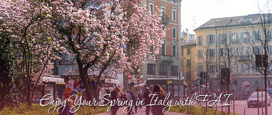 Car with Driver Hire Milan: Enjoy Your Spring in Italy with FAI