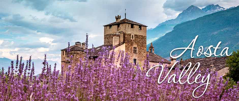 Tour of the castles in Valle D'Aosta with Vip Limousine!