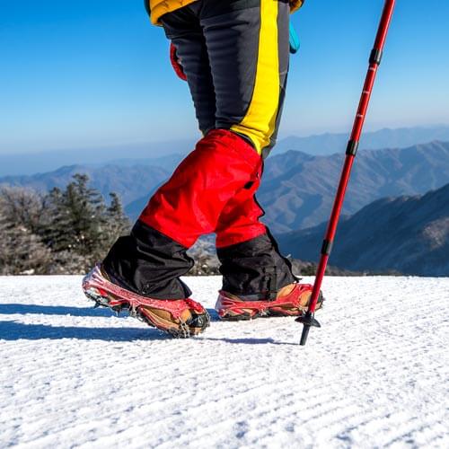 Chauffeur hire and bus rental Milan: snowshoeing