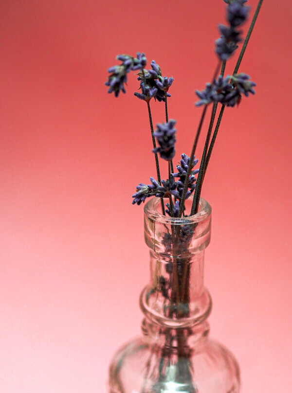 Go on a Trip to Grasse -   Flowerpot