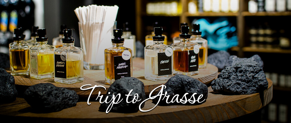 Go on a Trip to Grasse - Perfume counter
