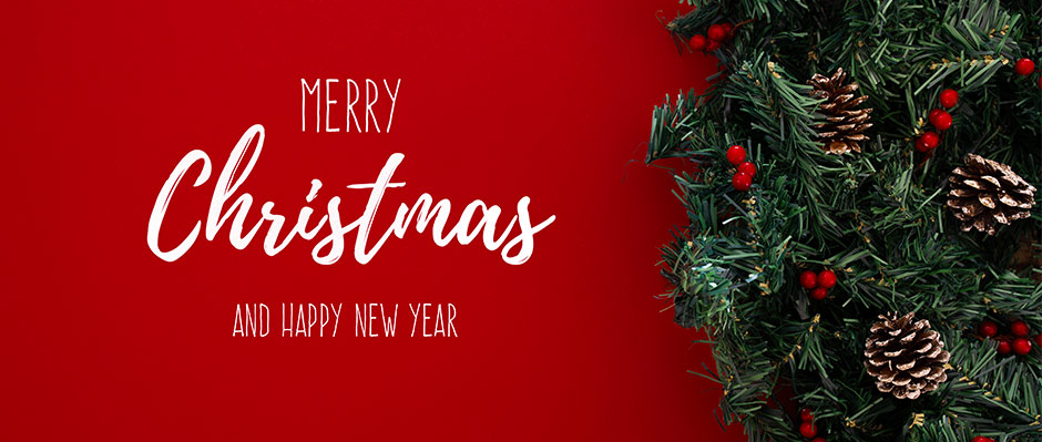 Merry Christmas and Happy New Year from Vip Limousine Milan