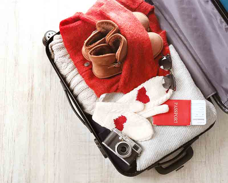 vip car suitcase