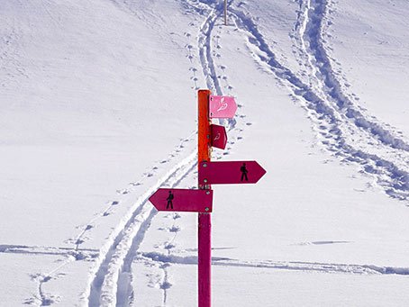 Winter walks amid the snow of the Dolomites Winter walks amid the snow of the Dolomites