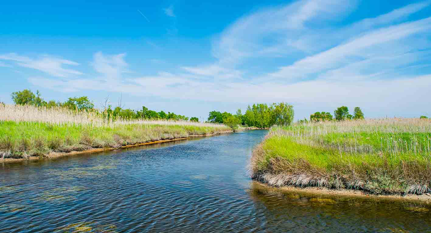 Sat'Erasmo Tour of the Venetian Laguna’s 5 most beautiful islands: Sat'Erasmo