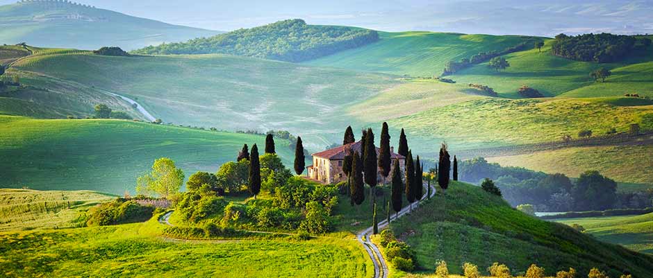 Wine Tour of Tuscan Maremma with driver from Milan